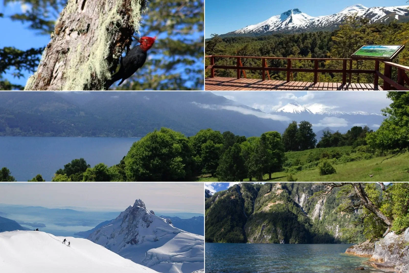 Lago Riñihue
